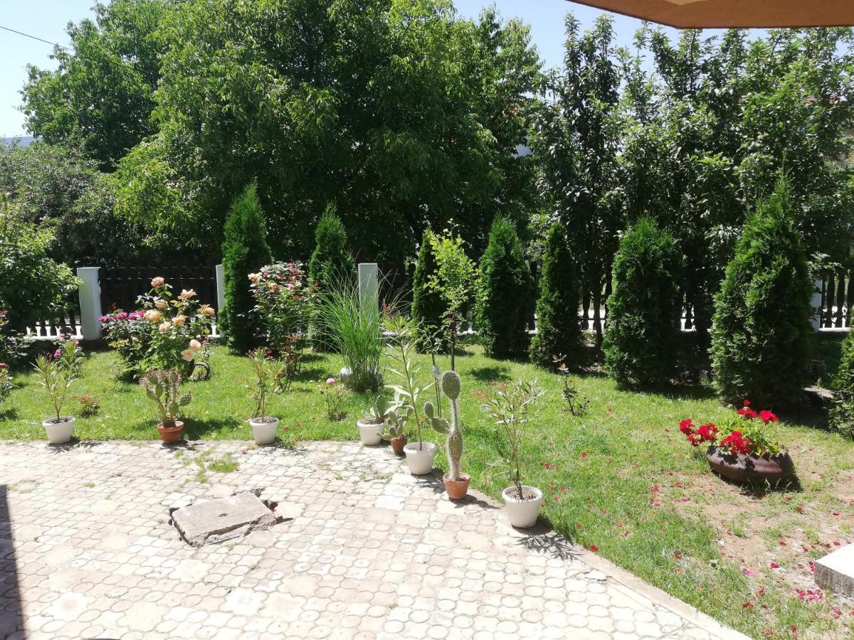 Apartmani Tvins Soko Banja Luaran gambar