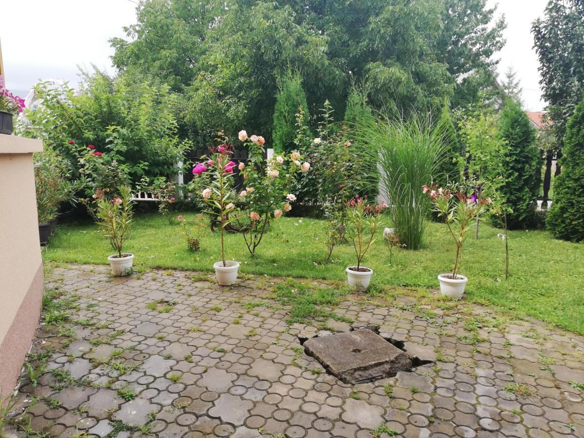 Apartmani Tvins Soko Banja Luaran gambar