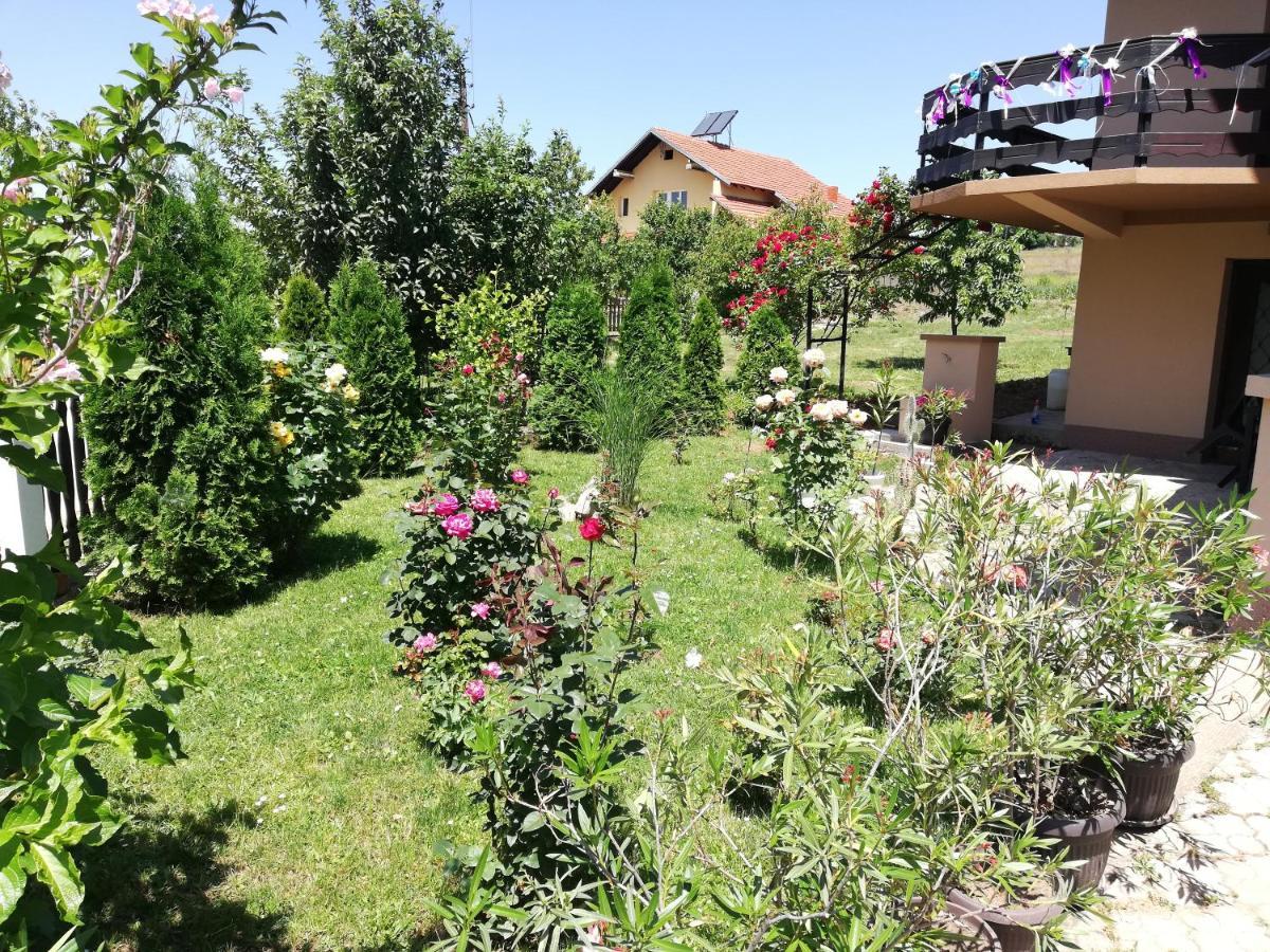 Apartmani Tvins Soko Banja Luaran gambar